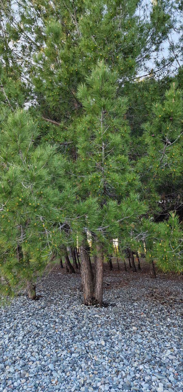 Укрепление здоровья